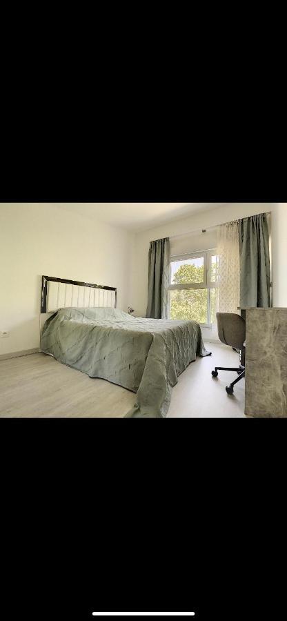 La Villa Petite Camargue سا لووي المظهر الخارجي الصورة